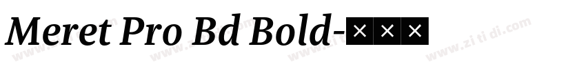 Meret Pro Bd Bold字体转换